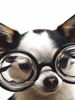 Other Wallpapers 0844